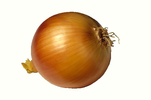 Топ сайтов onion